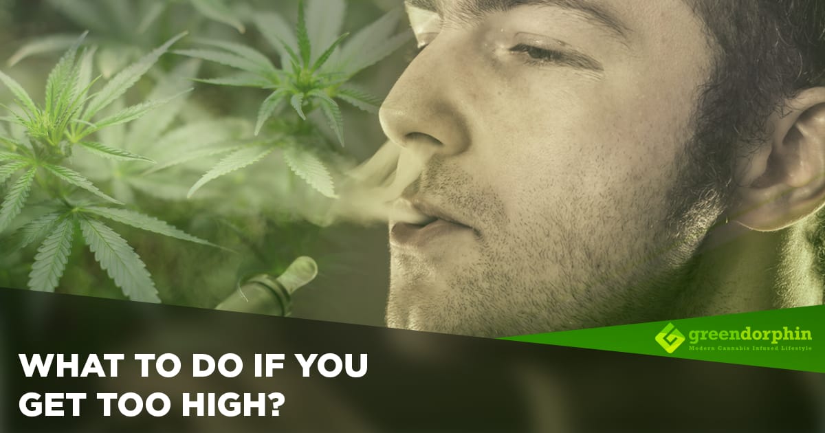 What To Do If You Get Too High?